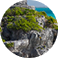 Tartaruga Safaris