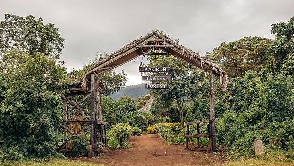 Entrance to Crater Forest Tented Camp — accommodation with Tartaruga Safaris