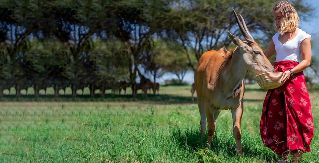 Guest beside an antelope at Serval Wildlife, supplier photograph — Tartaruga Safaris