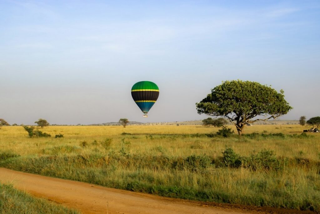 Hot air balloon above a savannah landscape, illustrative safari image
