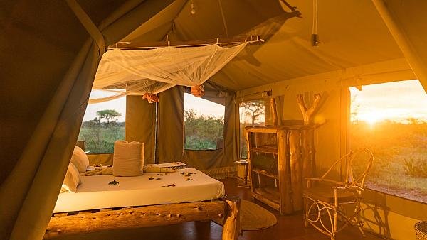 Guest tent interior at Ikoma Tented Camp — accommodation with Tartaruga Safaris
