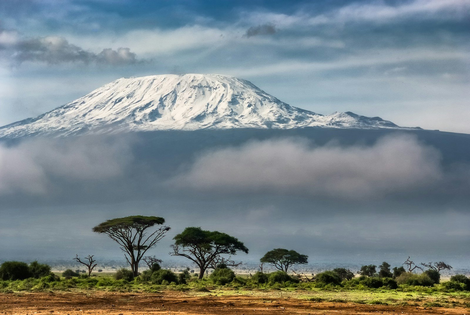 Snow-covered Kibo above the plains — eight-day Machame climb