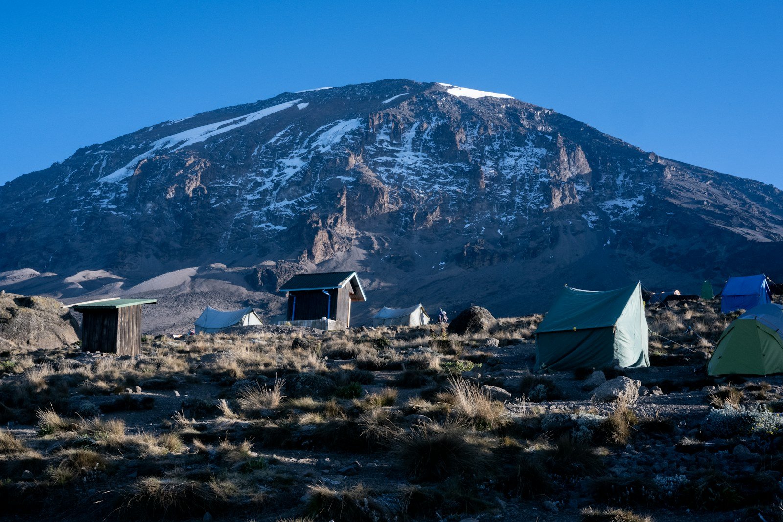 Mountain tents beneath Kibo — Shira Route climbing illustration