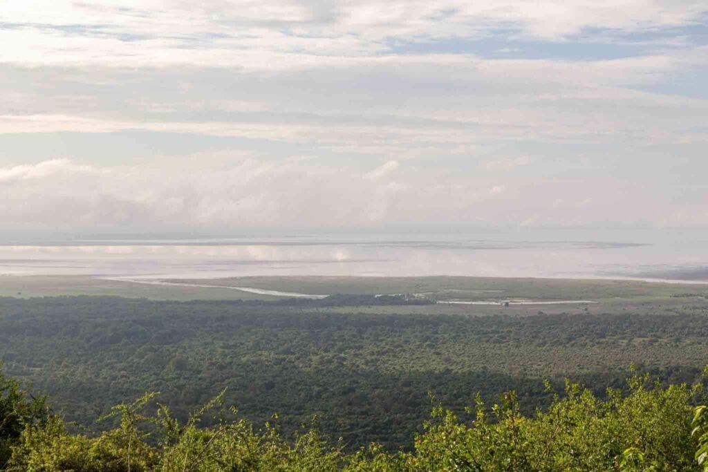 Lake Manyara beyond a broad green forest canopy — Tartaruga Safaris