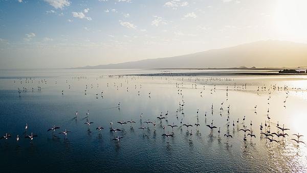 Lake Natron landscape featured by Moivaro — accommodation with Tartaruga Safaris