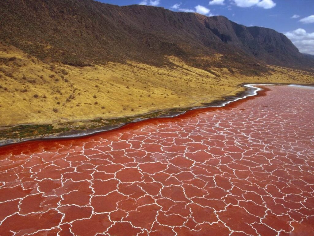 Lake Natron shoreline — Tartaruga Safaris