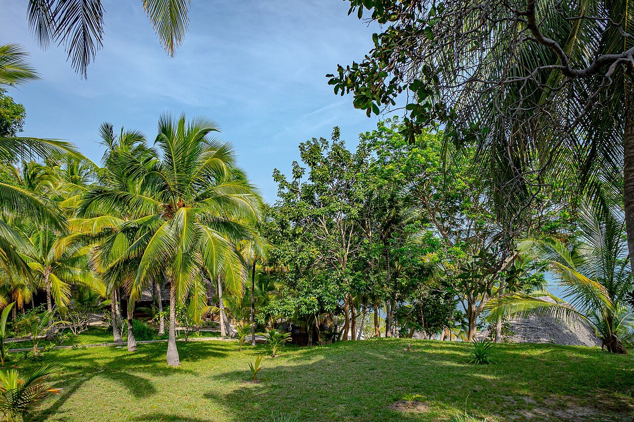 Mafia Island scenery in Tanzania — Tartaruga Safaris