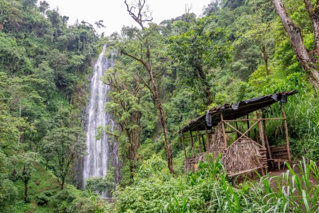 Materuni Waterfall beyond a forest clearing — Tartaruga Safaris
