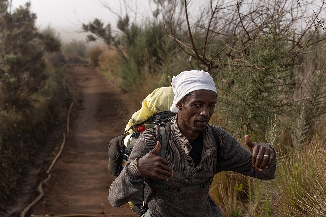 Mountain guide carrying a pack on a Kilimanjaro trail — Marangu forest day-hike illustration