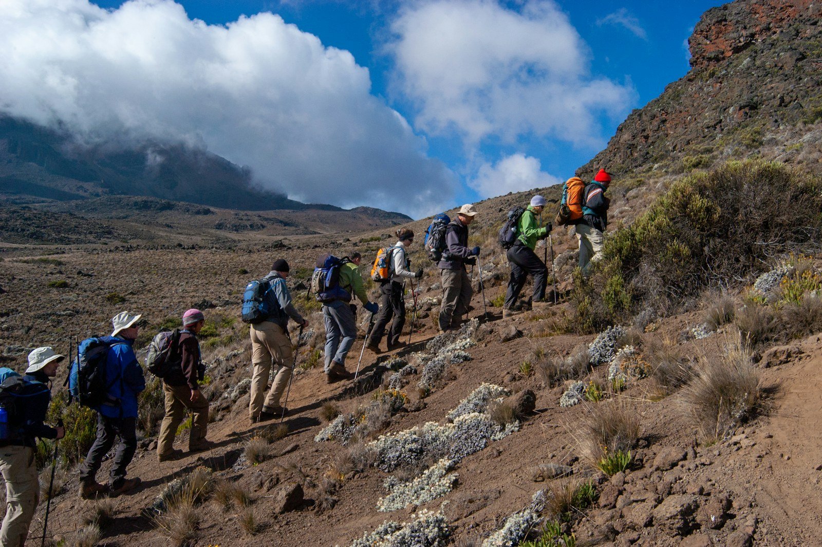 Hikers climbing Kilimanjaro’s Rongai Route