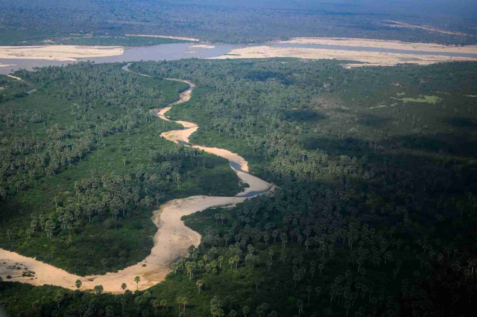 Aerial view of the winding Rufiji river landscape in Nyerere National Park — Tartaruga Safaris