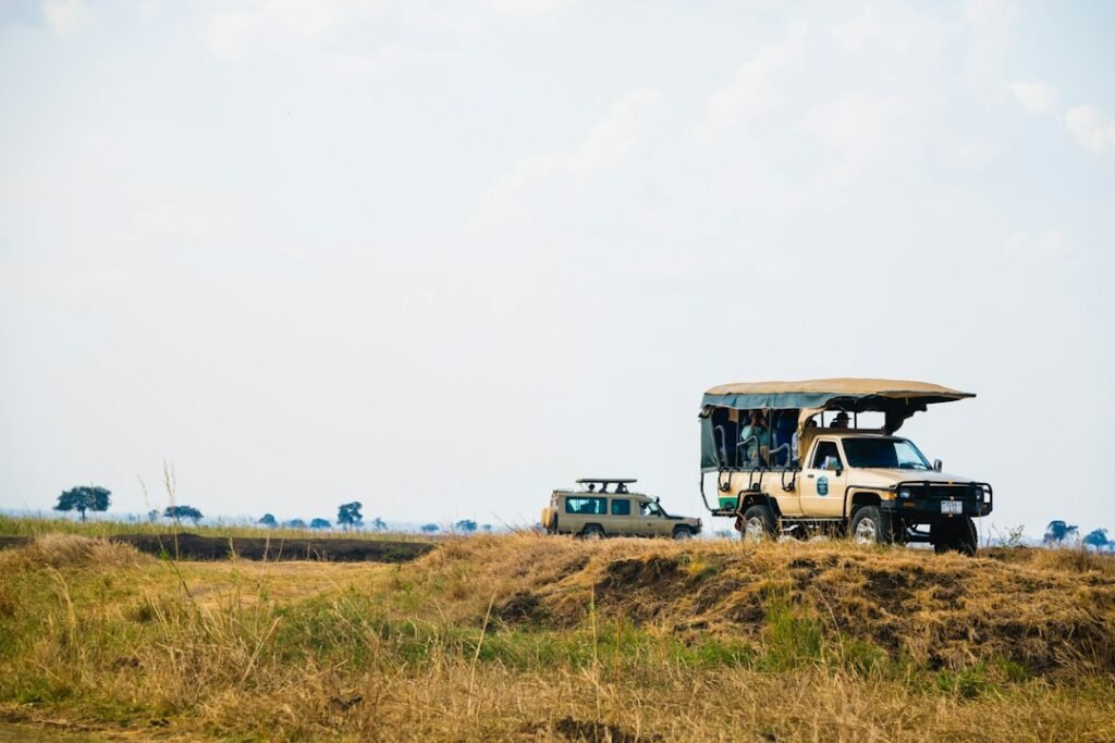 Safari vehicle in a grassy field — comparing Tanzania safari quotations