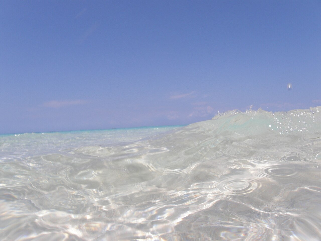 Sandbank near Prison Island — Zanzibar island and sandbank day trip