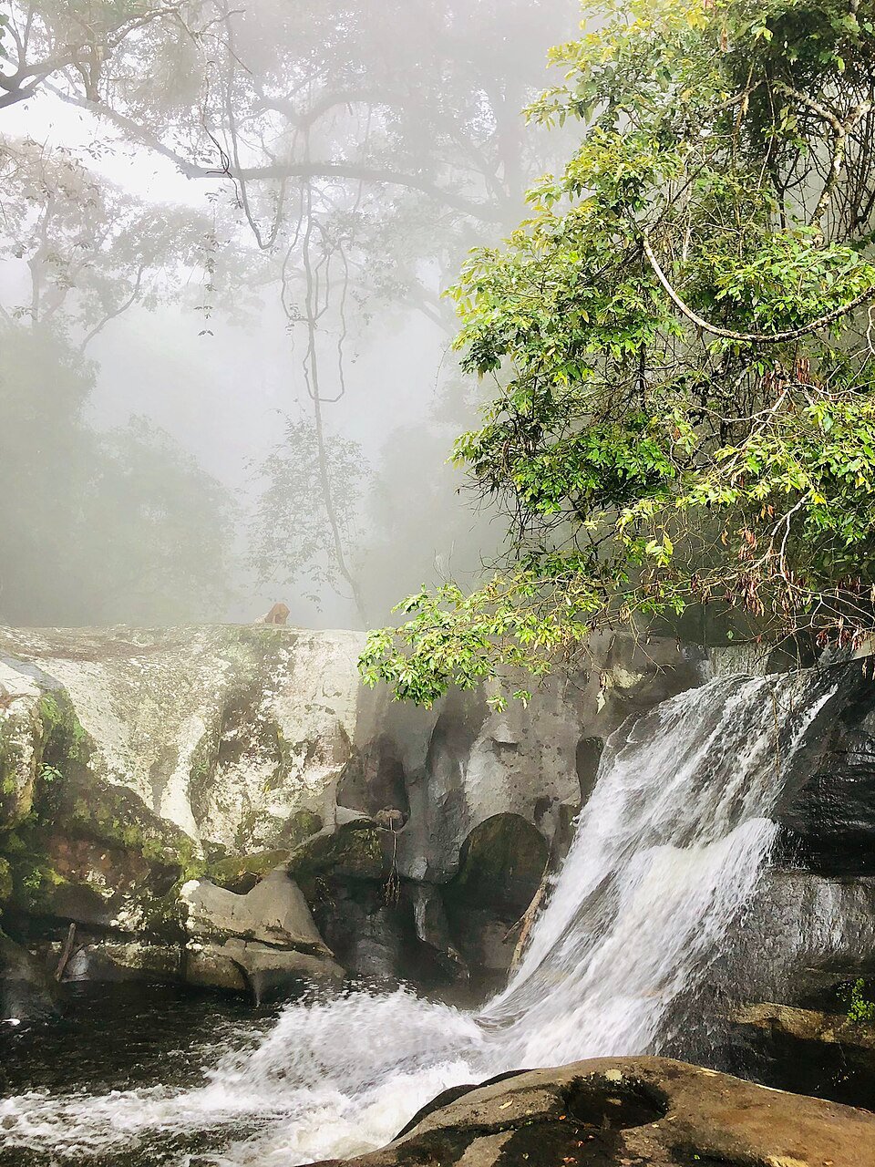 Sanje waterfalls in Udzungwa Mountains National Park — Tartaruga Safaris