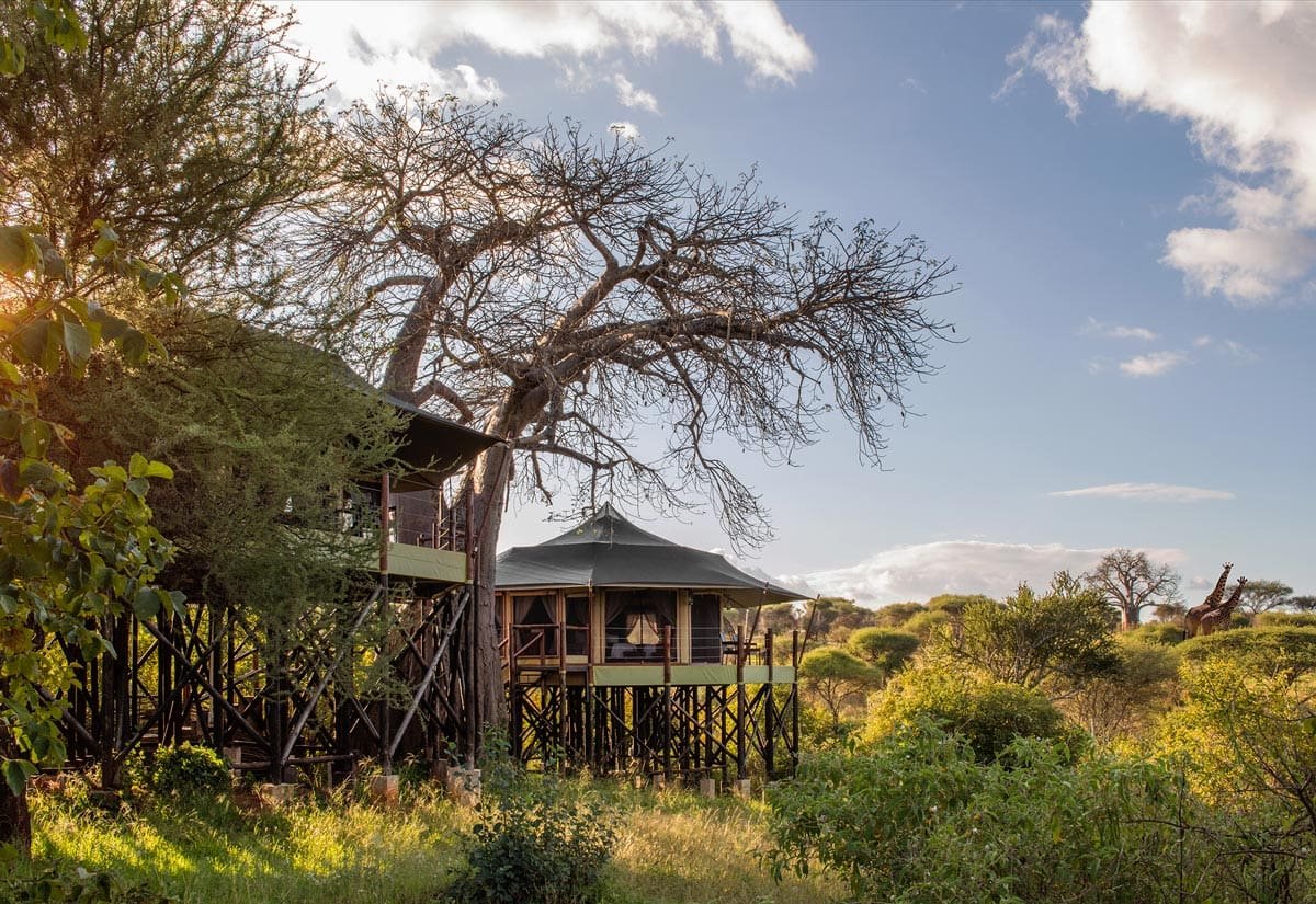 Tarangire Kuro Treetops lodge by Wellworth Collection