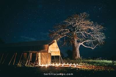 Tarangire Tortilis Camp beside baobab trees