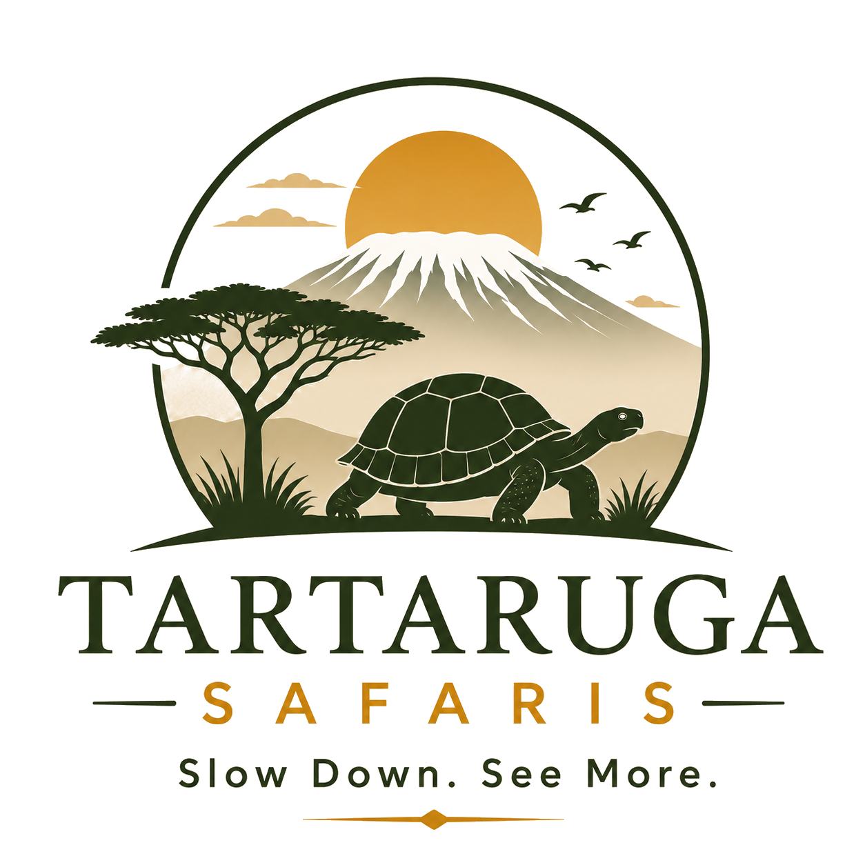 Tartaruga Safaris — Slow Down. See More.