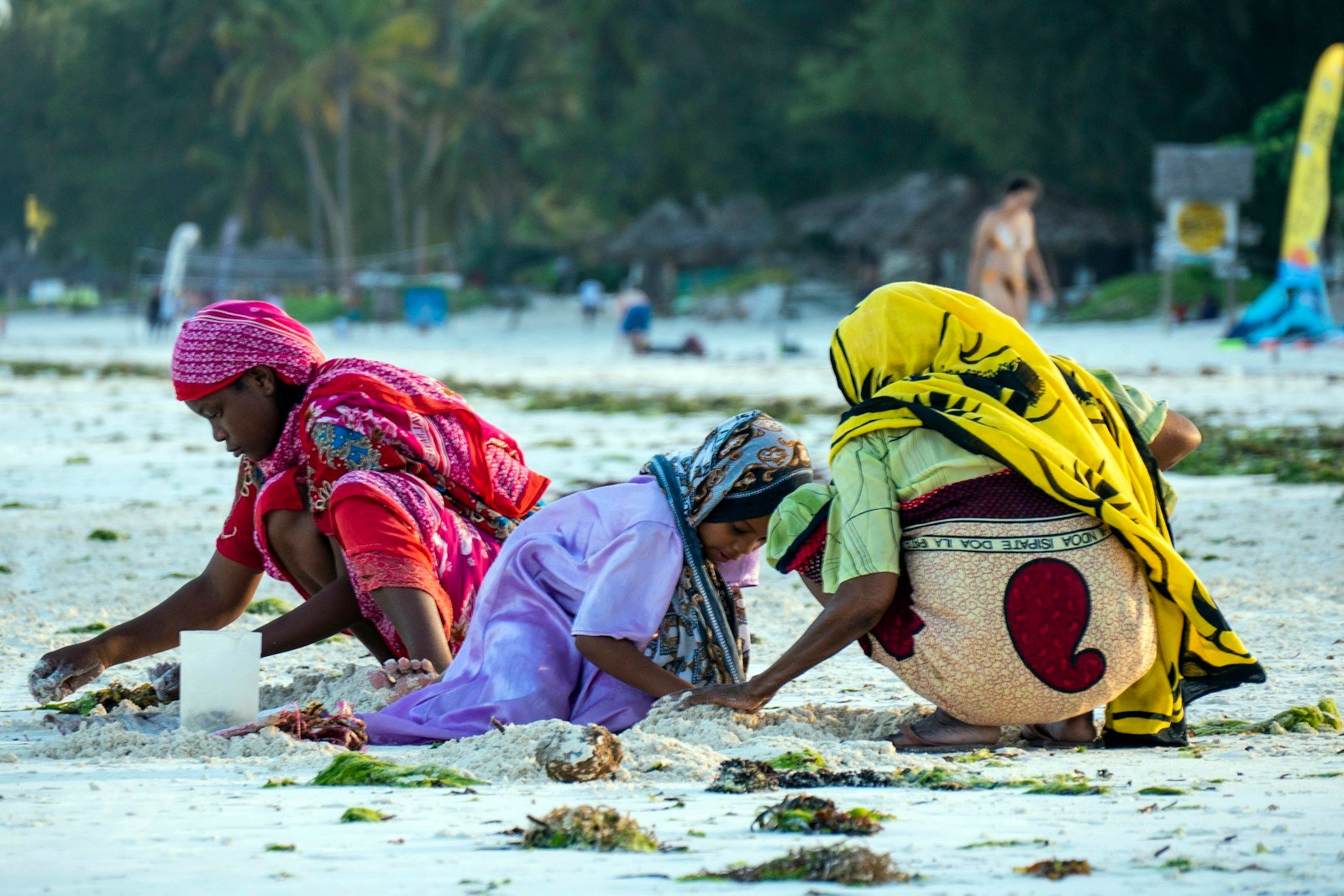 Women gathered on the shoreline at Paje in Zanzibar — Tartaruga Safaris