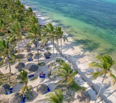 Palm trees along a Zanzibar beach beside turquoise water — Tartaruga Safaris