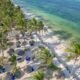 Palm trees along a Zanzibar beach beside turquoise water — Tartaruga Safaris