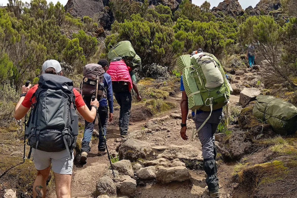 Hikers climbing a rocky trail on Kilimanjaro
