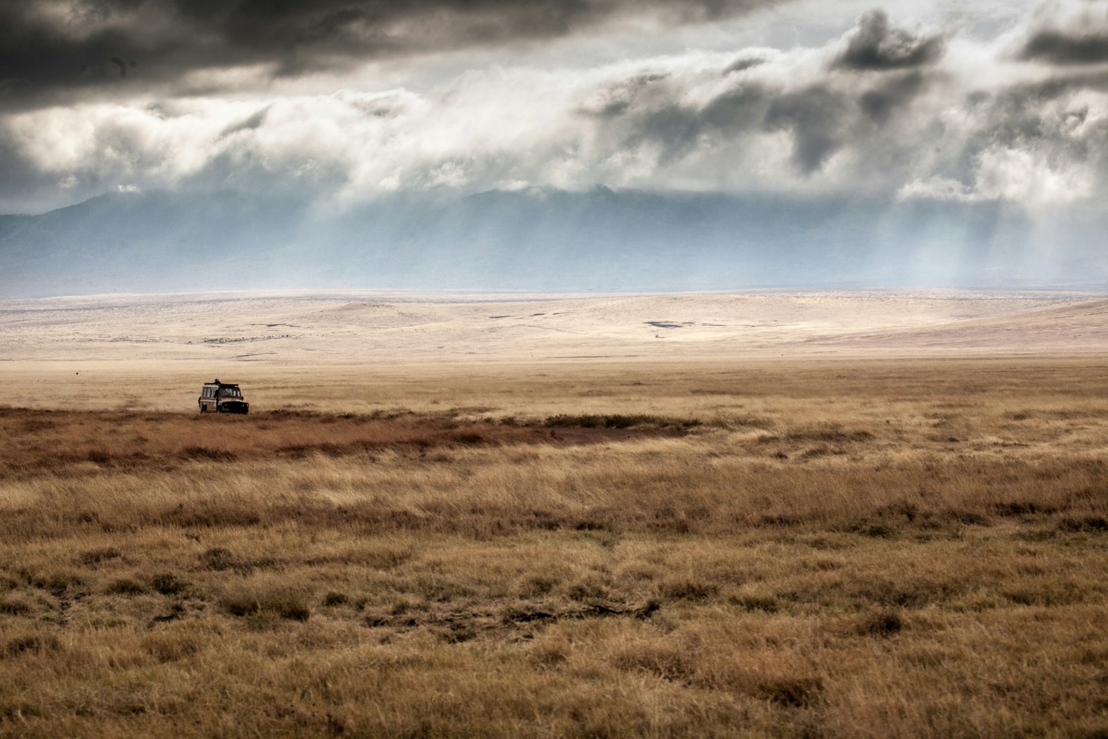 Safari landscape beneath dramatic clouds