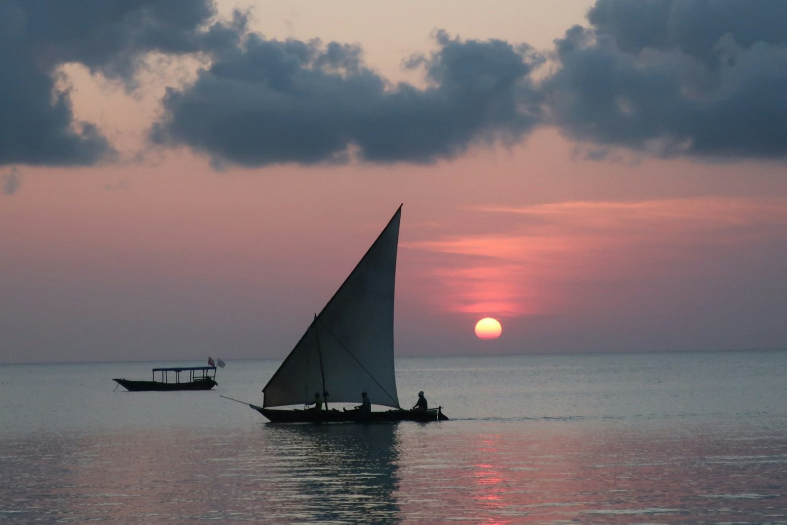 Zanzibar landscape and wildlife photograph