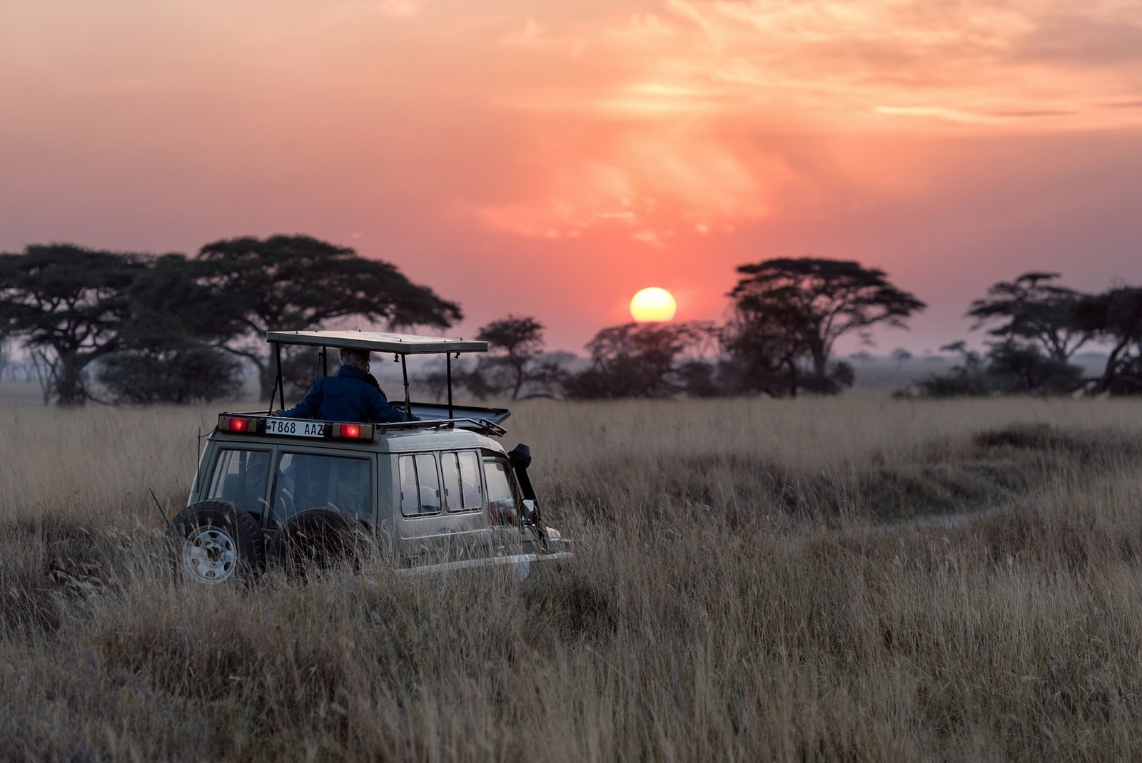 Safari vehicle in sunset light