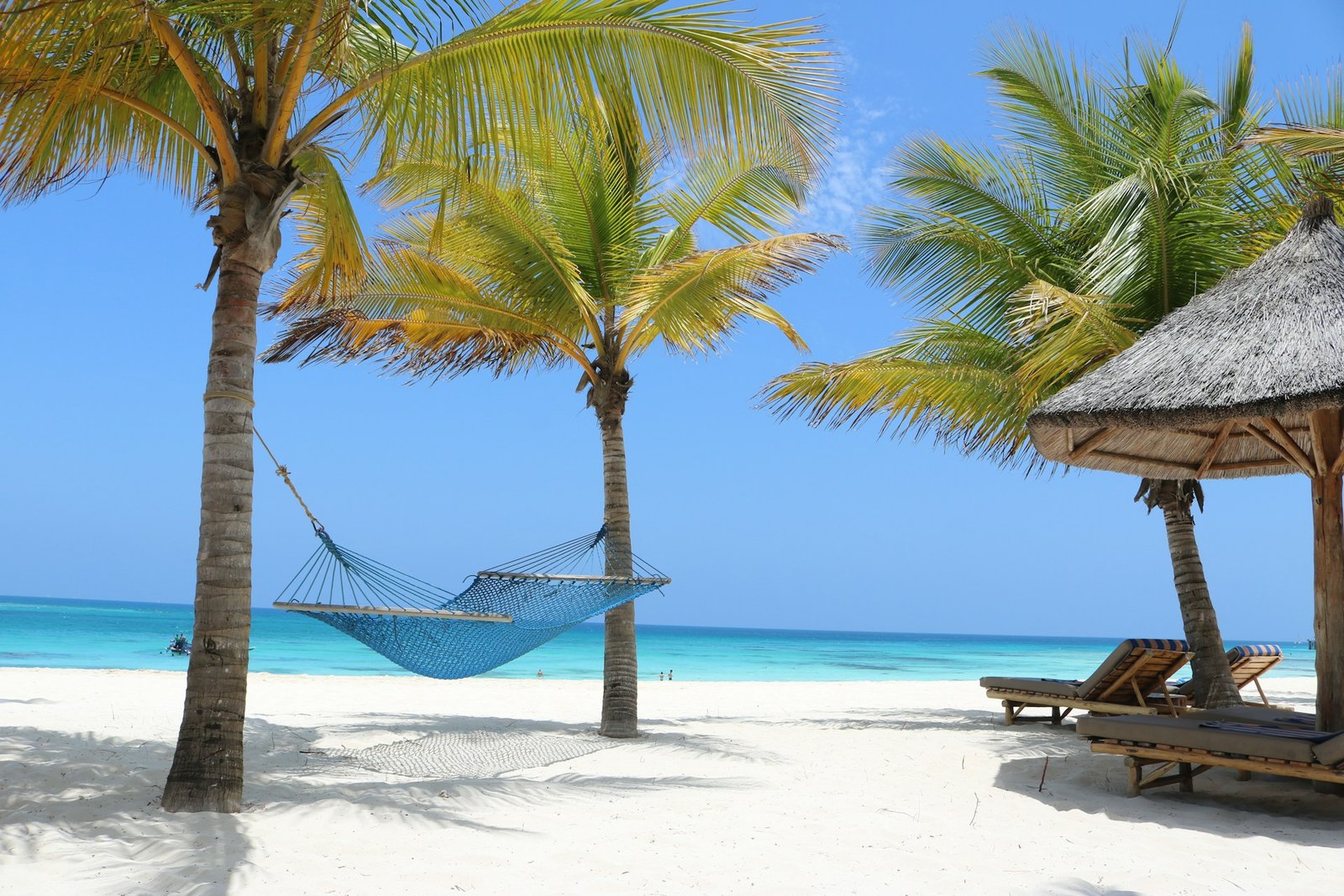 Beach hammock between palms in Zanzibar