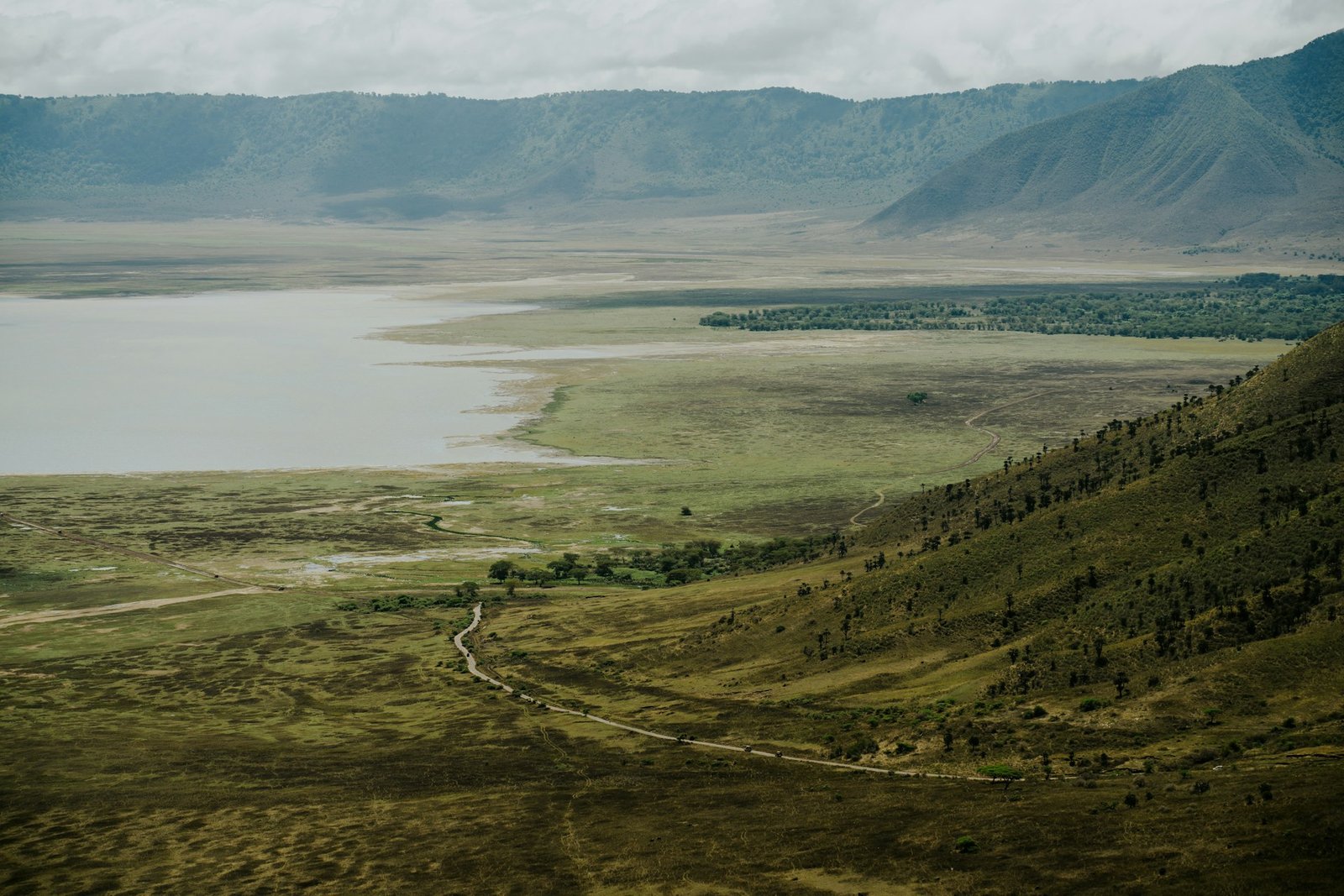 Ngorongoro Crater panorama