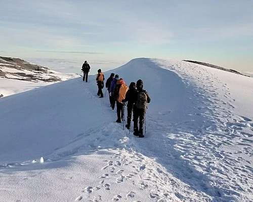 Climbers following Kilimanjaro’s snowy summit ridge