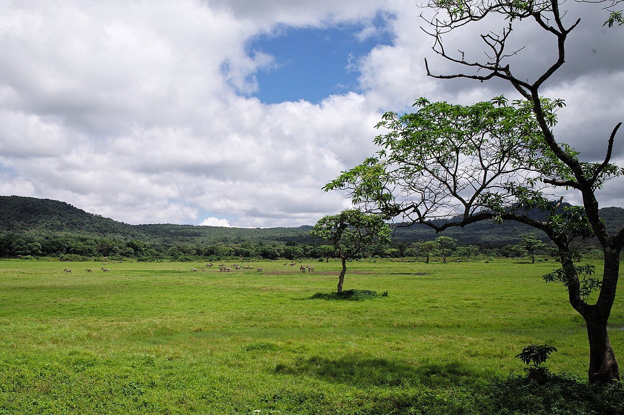 Landscape in Arusha National Park — Tartaruga Safaris