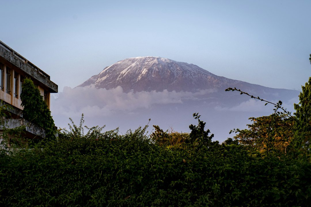 Paisaje del Kilimanjaro — Tartaruga Safaris