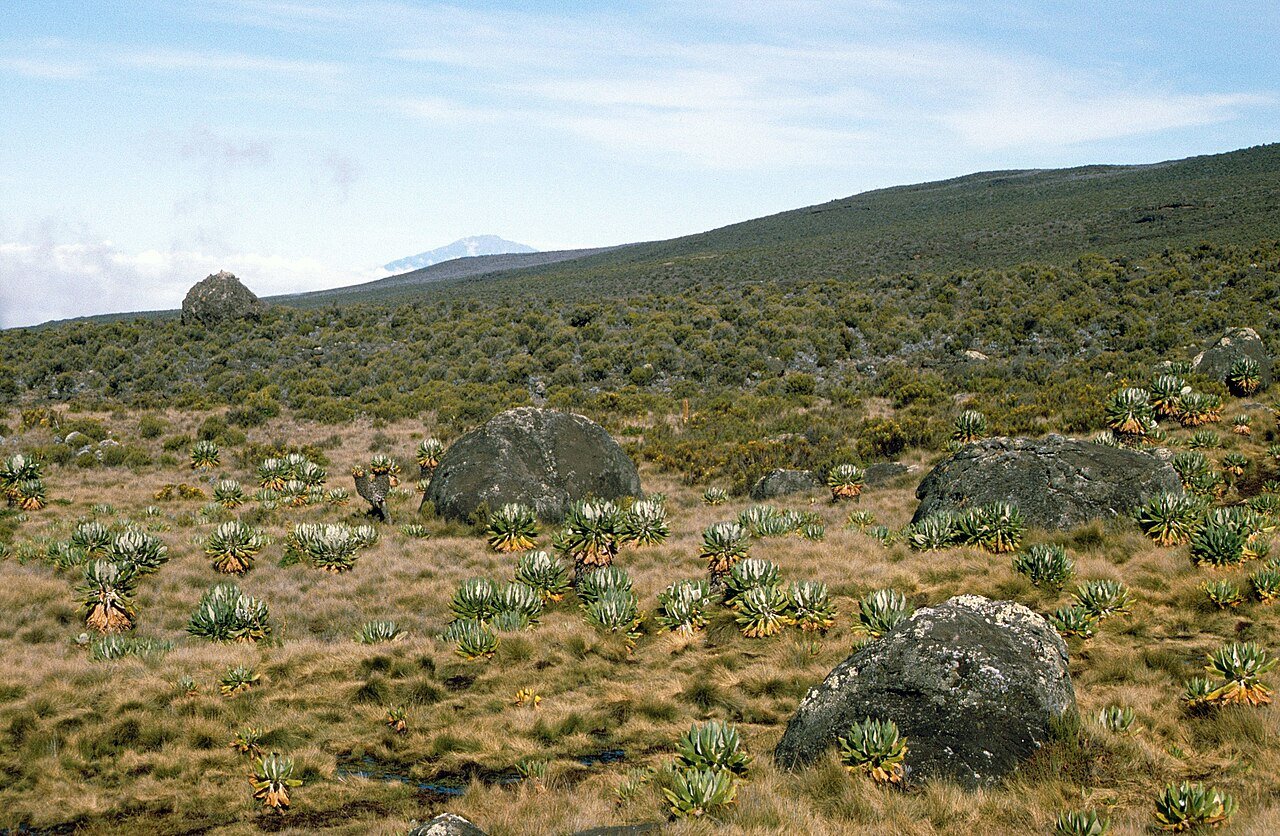 Berglandschaft am Kilimandscharo — Tartaruga Safaris