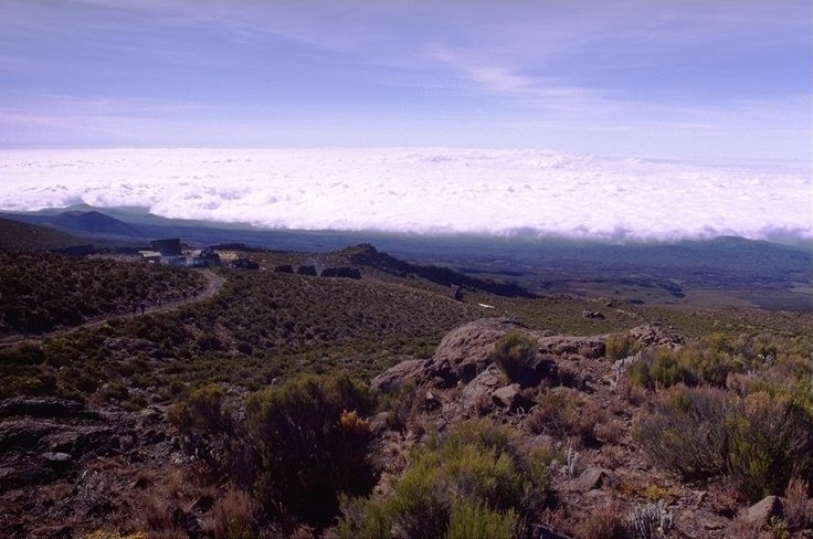 Moorland trail above a sea of clouds on Kilimanjaro
