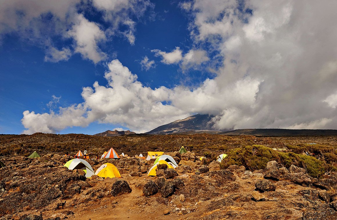 Tentes dans un camp du Kilimandjaro — Tartaruga Safaris