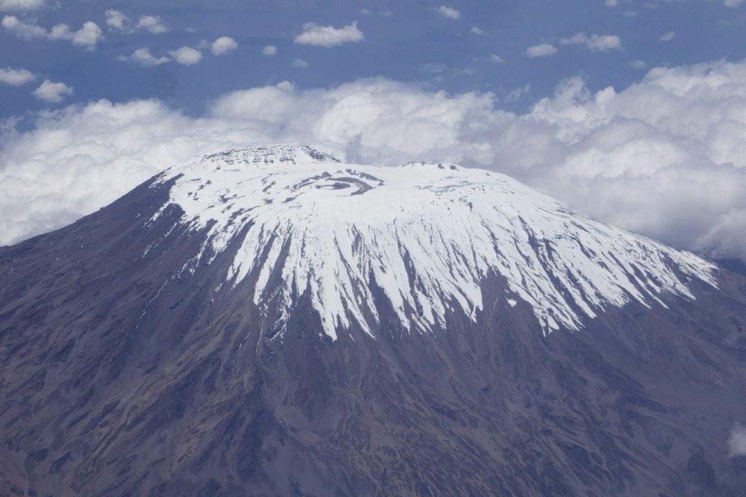 乞力马扎罗山地景观 — Tartaruga Safaris