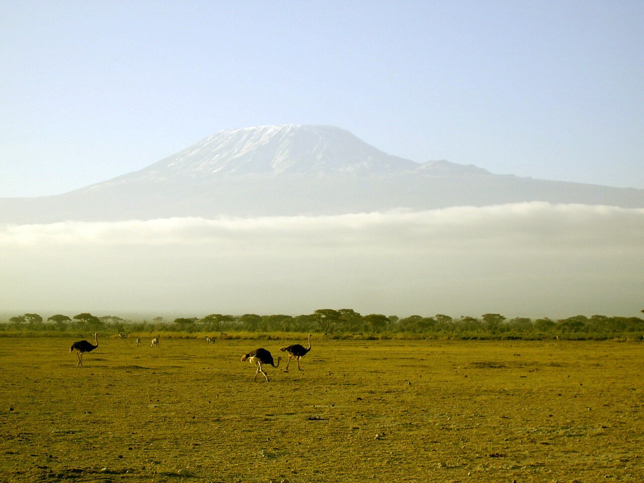 Kilimanjaro above the plains and grazing wildlife — Shira climbing inspiration