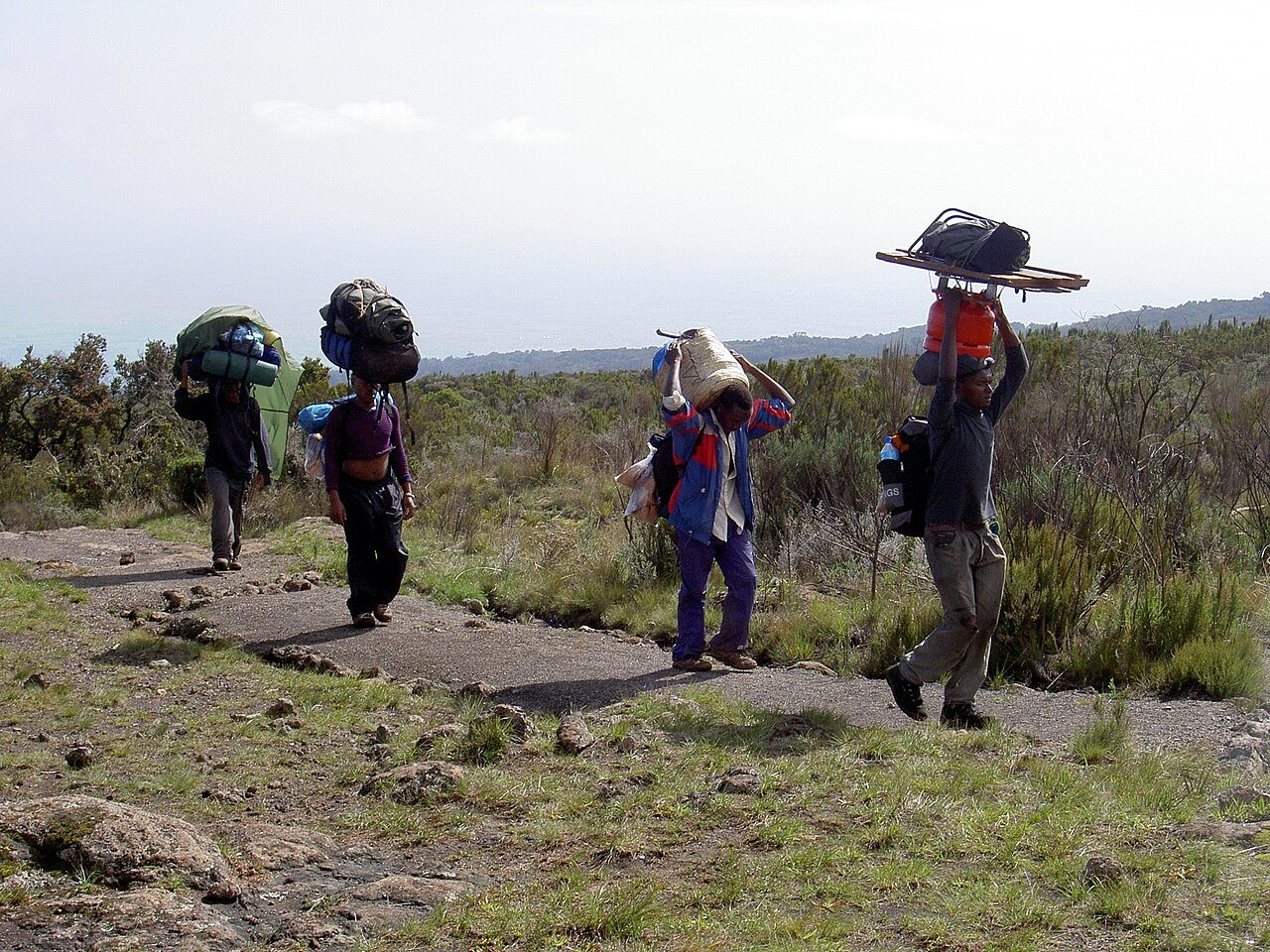 Porteadores con equipo en el Kilimanjaro — Tartaruga Safaris