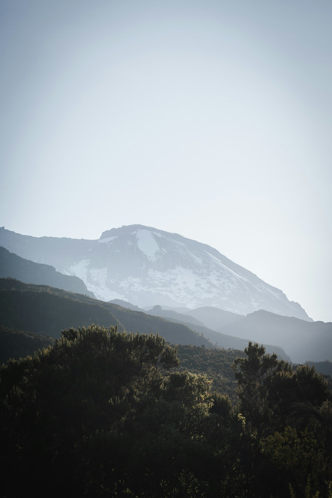 乞力马扎罗山地景观 — Tartaruga Safaris