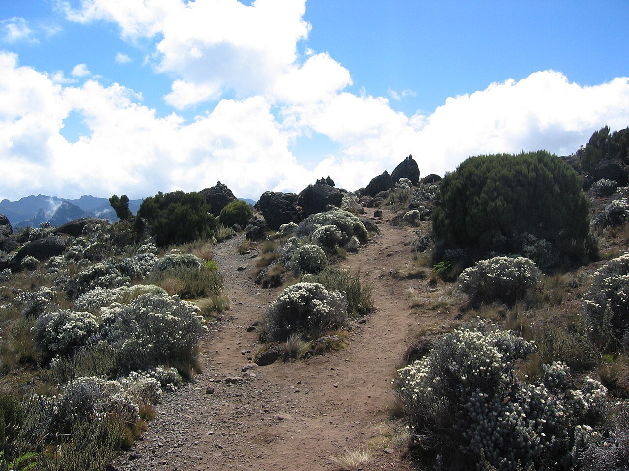 Moorland and mountain scenery on Kilimanjaro’s Shira Plateau