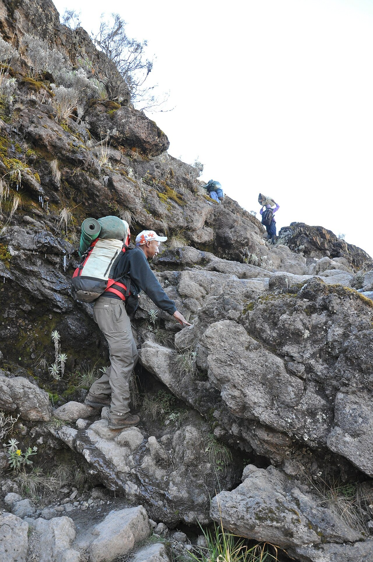 Mountain guide climbing the rocky Barranco Wall on Kilimanjaro