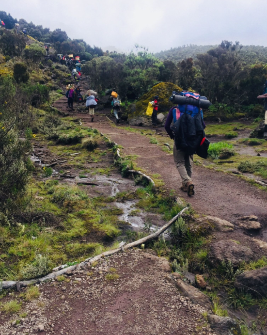 Porters carrying equipment on the Machame Route in January 2020