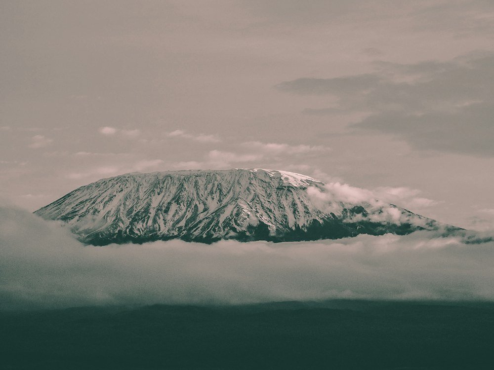 Paysage du Kilimandjaro — Tartaruga Safaris