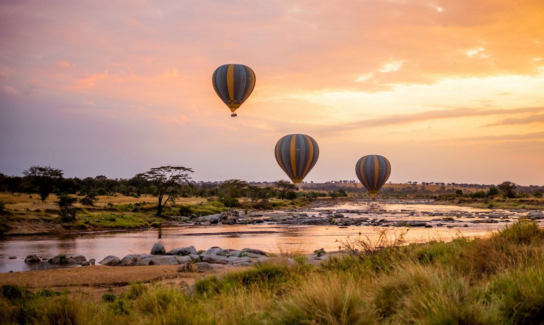 Hot-air balloon safari in the Serengeti — Tartaruga Safaris