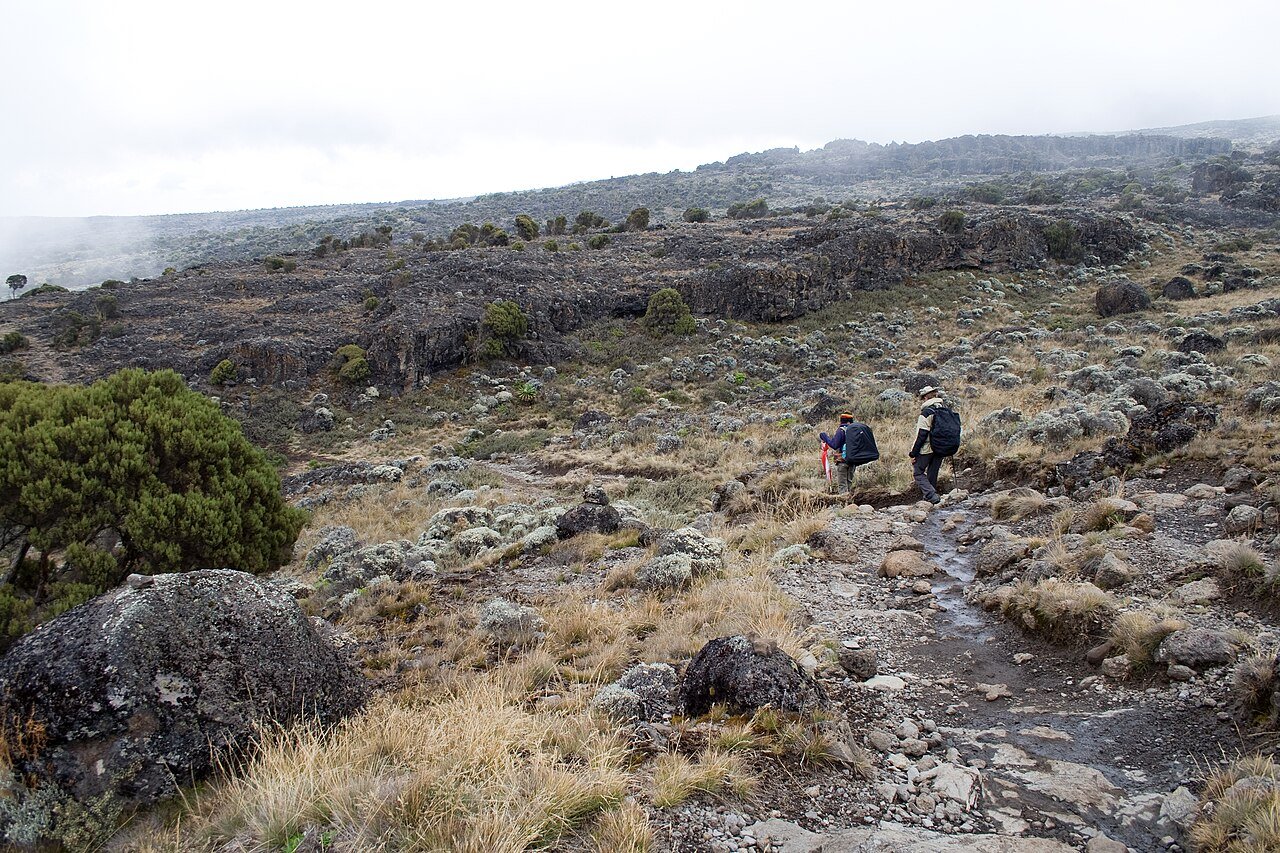 Shira Plateau on Kilimanjaro’s Machame Route