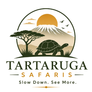 Tartaruga Safaris — Slow Down. See More.