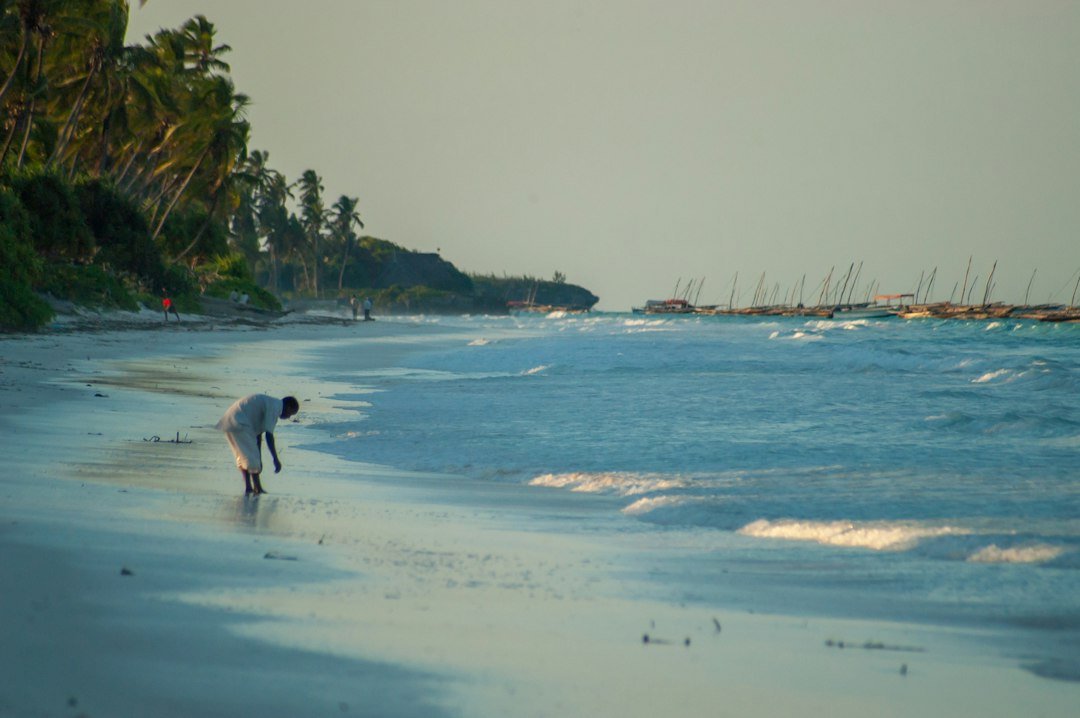 Person am Wasser an einem palmengesäumten Strand auf Sansibar