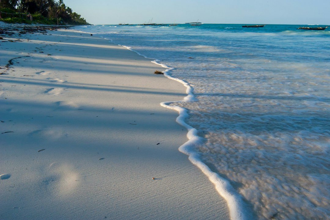 Ondas suaves e sombras de palmeiras na areia de Zanzibar